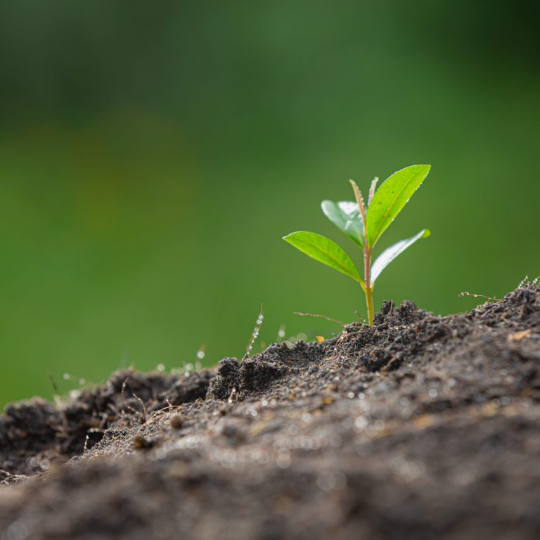 راهنمای رتبه مشاور محیط زیست راهنمای رتبه مشاور محیط زیست
